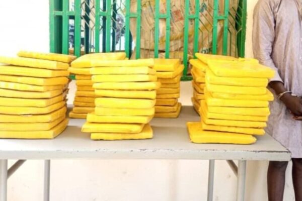 Bénin trafic chanvre indien