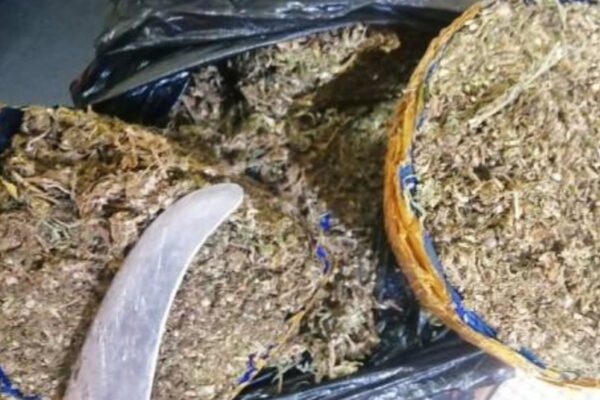 Bénin ghetto Hêvié