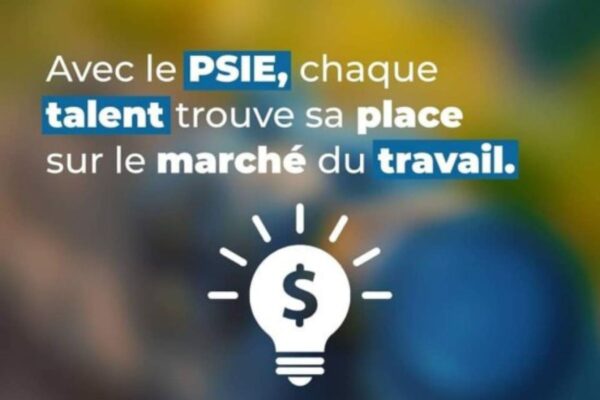 Emploi Programme d’Insertion dans l’Emploi recrute