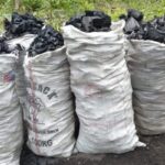 Bénin, transport de bois, écologie