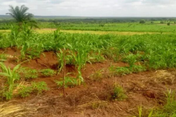 Bénin terres rurales