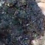 Bénin vodun Tolègba incendie