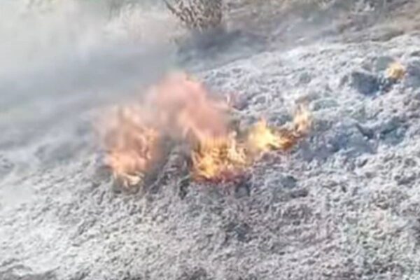 Segbana champ de soja