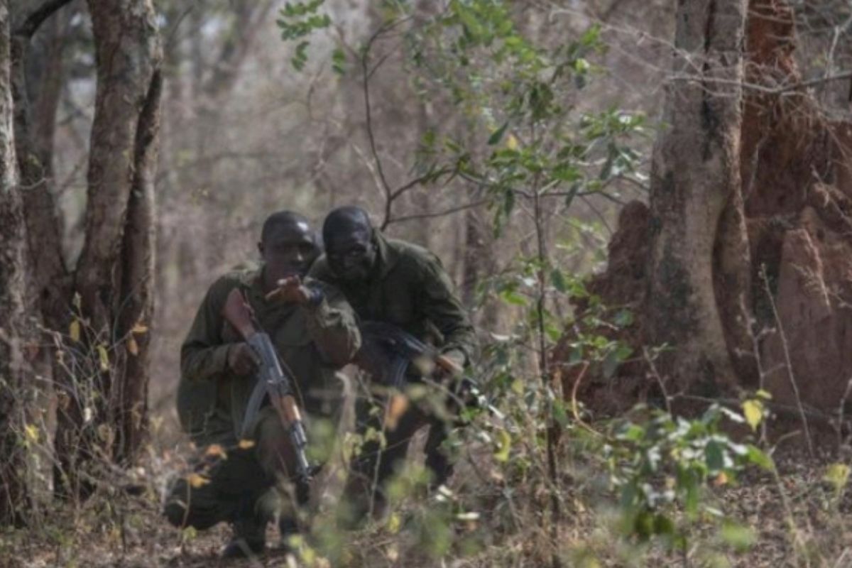 Kalalé : trois corps découverts dans la brousse
