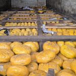 Lutte contre la fraude : le SRLCFB-A réalise une saisie majeure de drogues à Bétérou