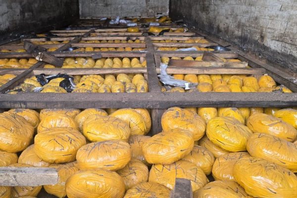 Lutte contre la fraude : le SRLCFB-A réalise une saisie majeure de drogues à Bétérou